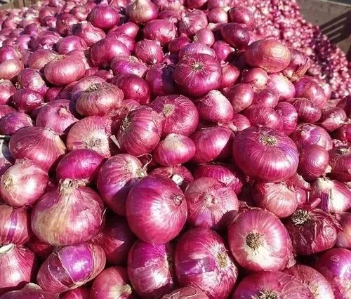 Onion powder